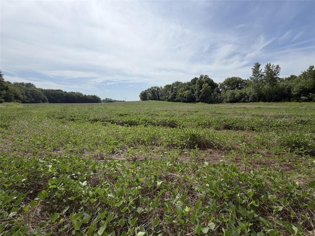 56 HWY & County Line Rd. — photo 3