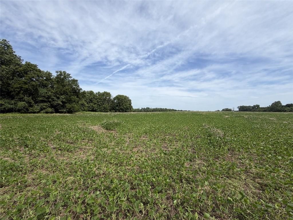 56 HWY & County Line Rd. — photo 4
