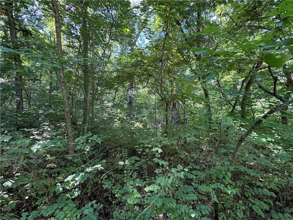 53,57,61 & 65 Locust Drive — photo 12
