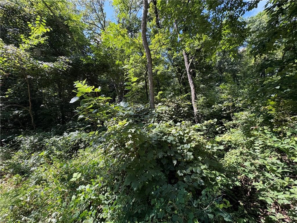 53,57,61 & 65 Locust Drive — photo 13