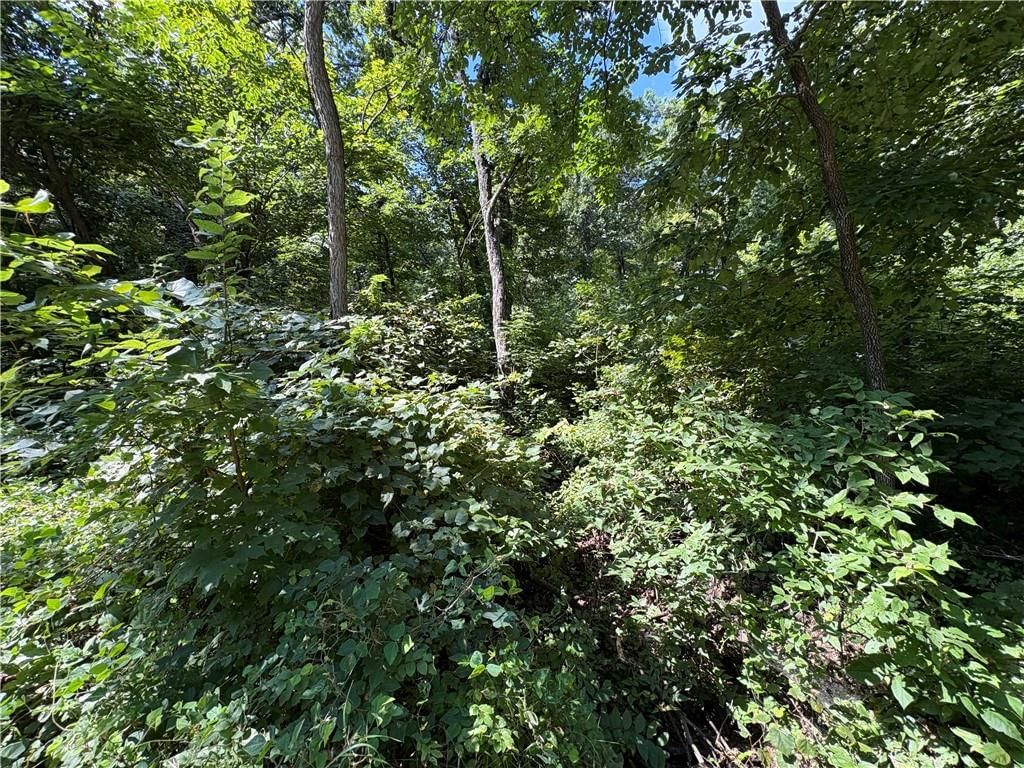 53,57,61 & 65 Locust Drive — photo 14