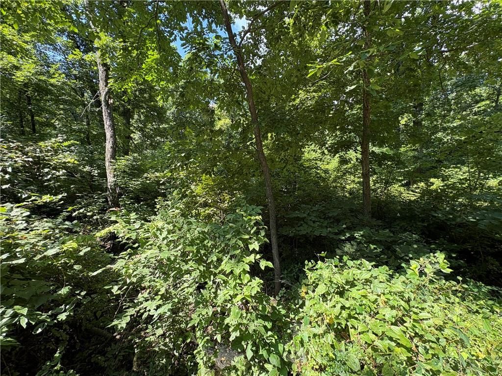 53,57,61 & 65 Locust Drive — photo 15