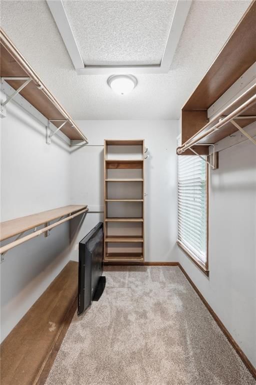 11724 Craig Street — photo 33