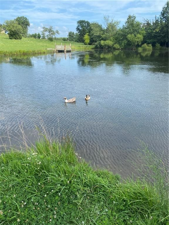 17581 178th Street — photo 28