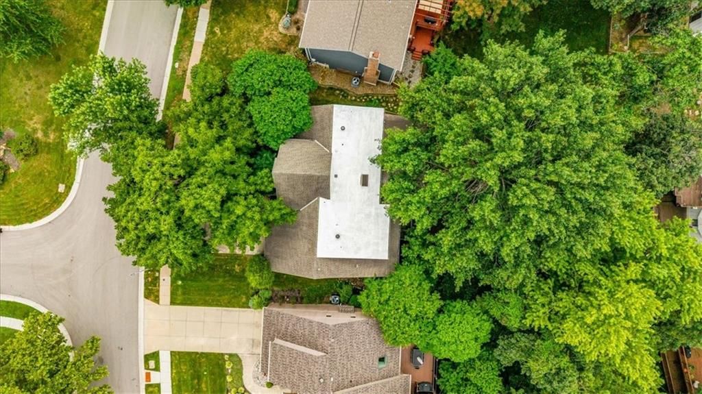 11530 Carter Street — photo 5