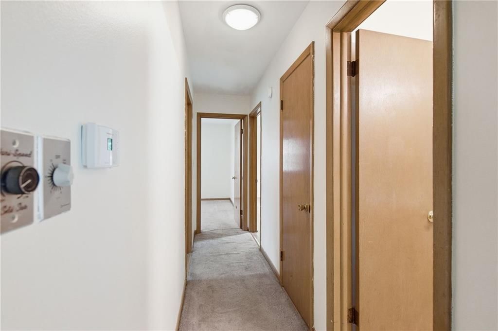 9307 Craig Drive — photo 14