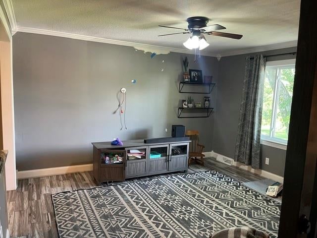 13968 McIntyre Road — photo 3