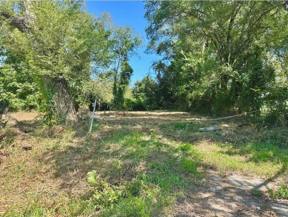 3123 Marsh Avenue — photo 1