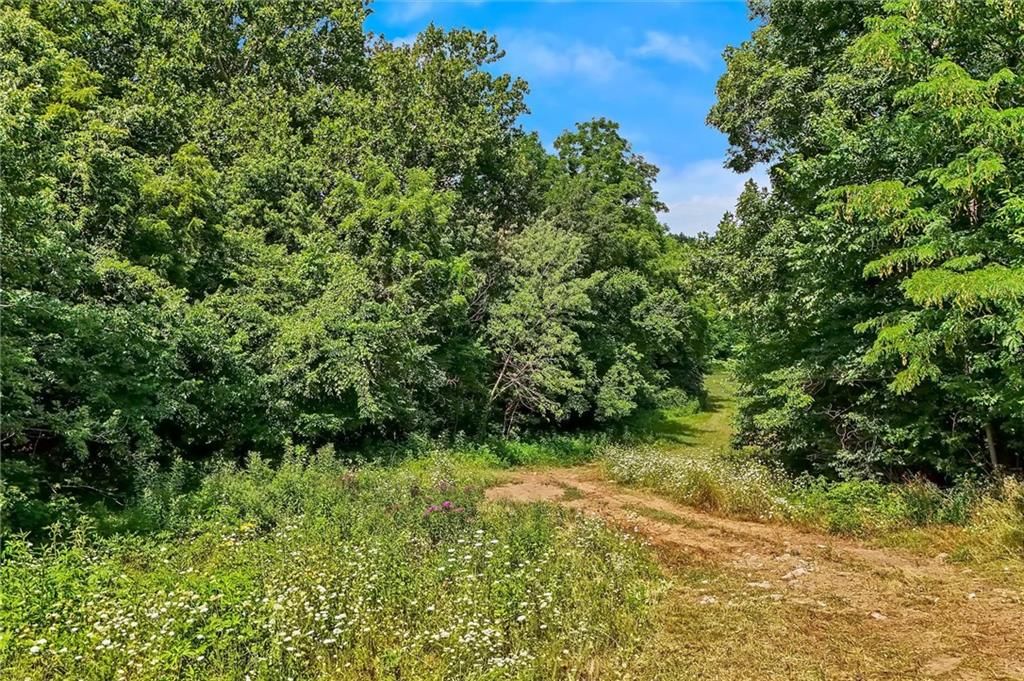 11026 Shach Creek Road — photo 44