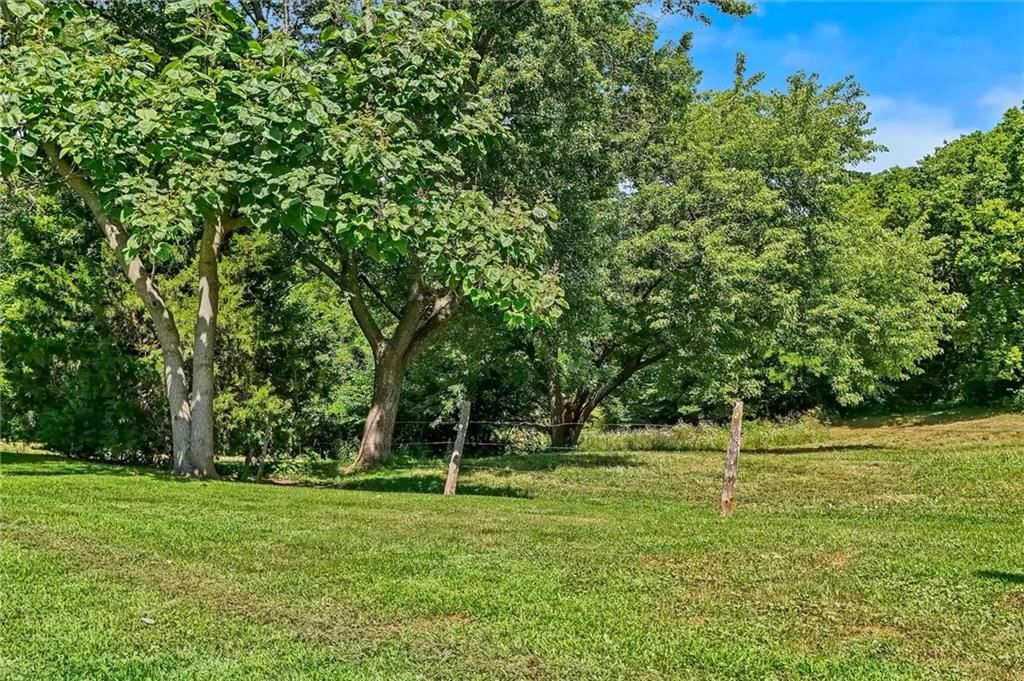 11026 Shach Creek Road — photo 46