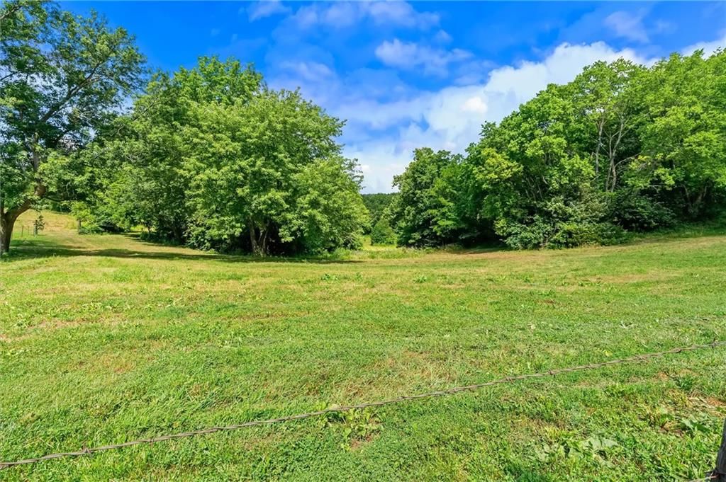 11026 Shach Creek Road — photo 47