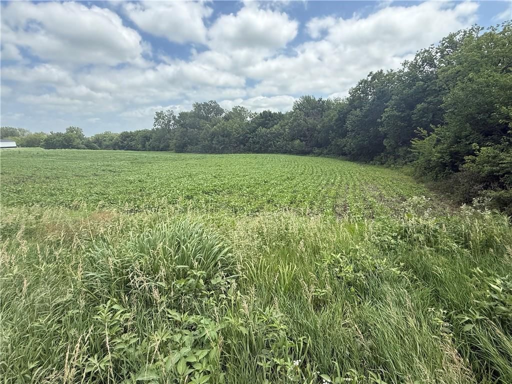 Lot 4 259th Street — photo 8