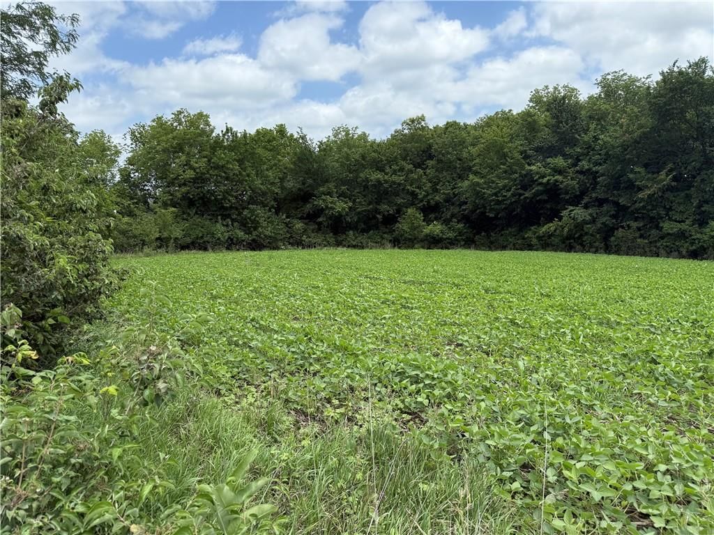 Lot 4 259th Street — photo 10