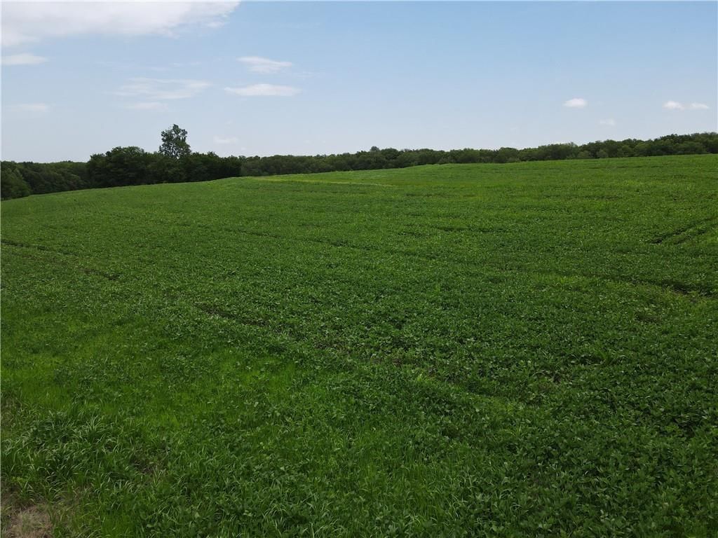 Lot 5 259th Street — photo 5