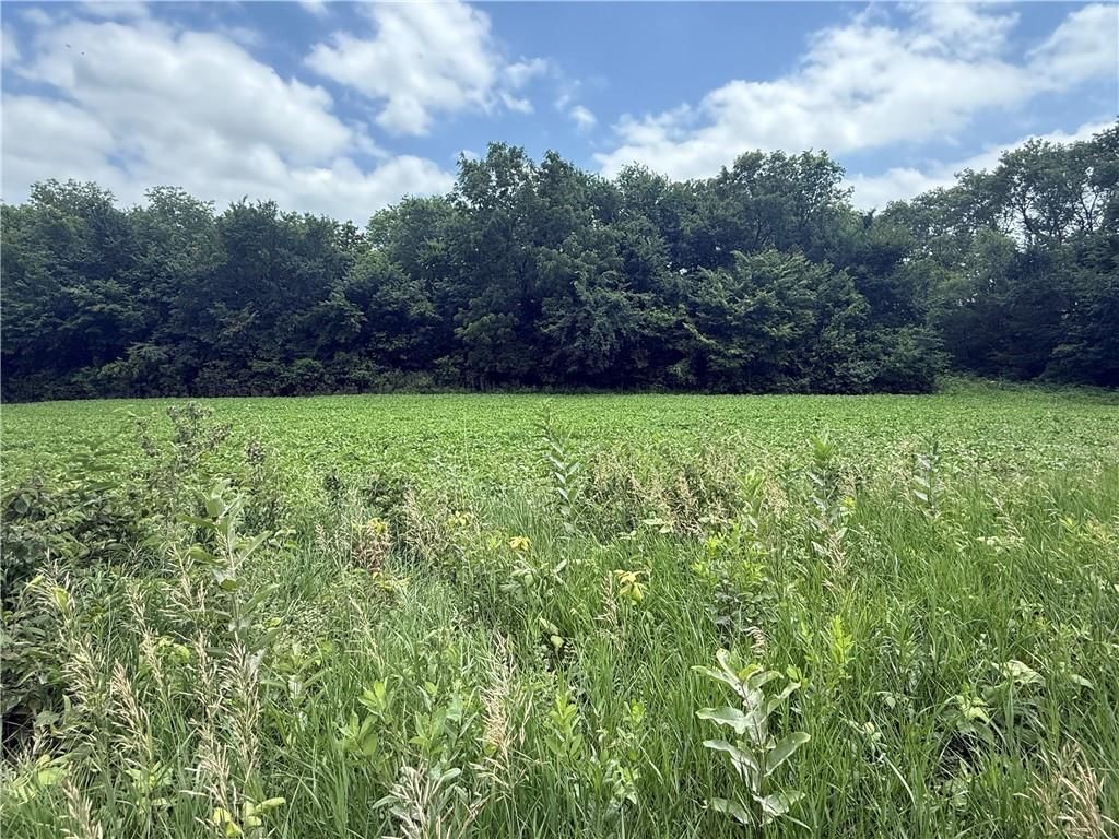 Lot 5 259th Street — photo 9