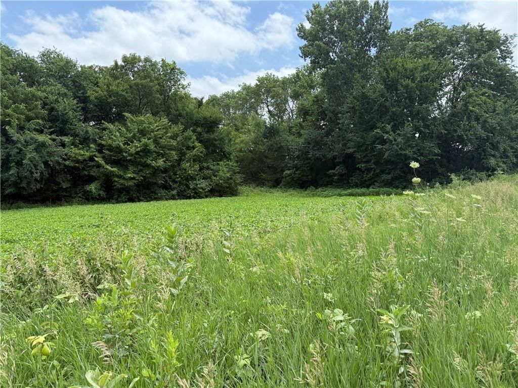 Lot 5 259th Street — photo 11