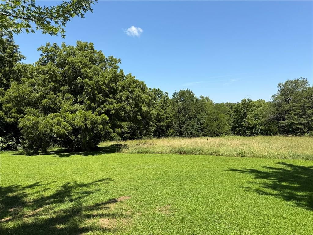 9241 Hamm Drive — photo 29