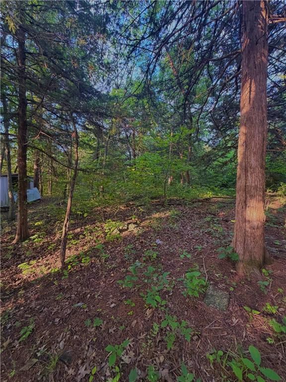 5 N Lakeside Drive — photo 5