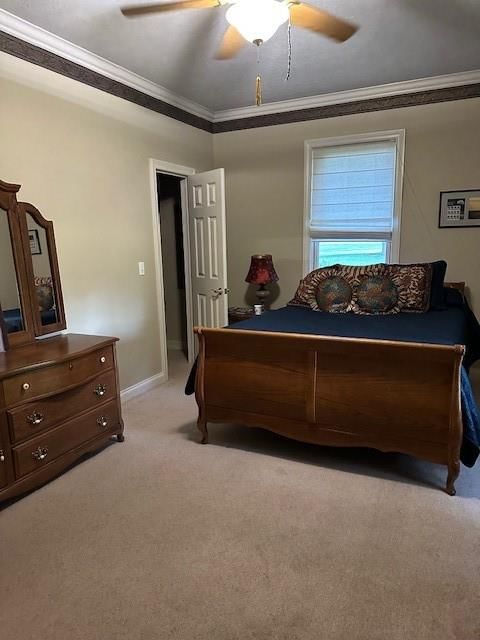 2 Timbercreek Road — photo 29
