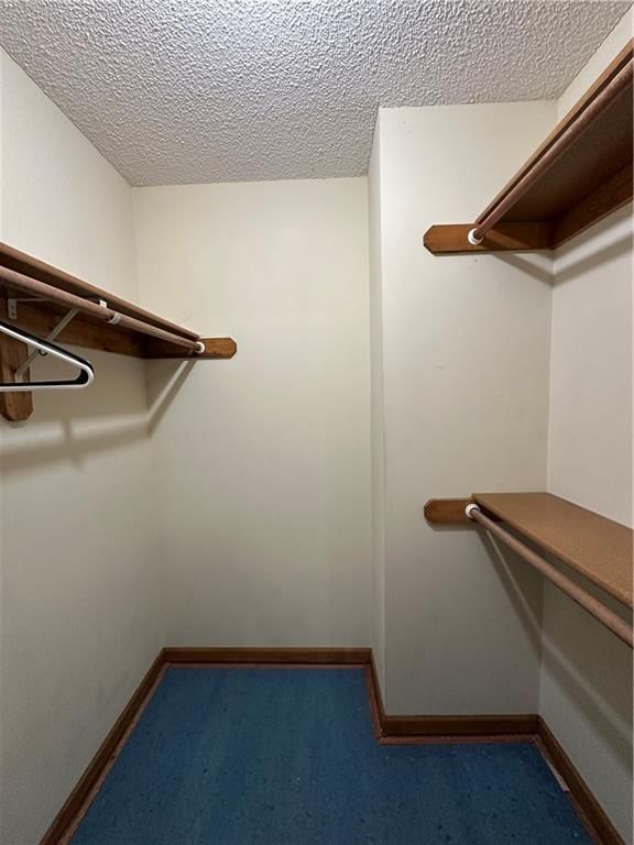 300 N Persimmon Drive — photo 21