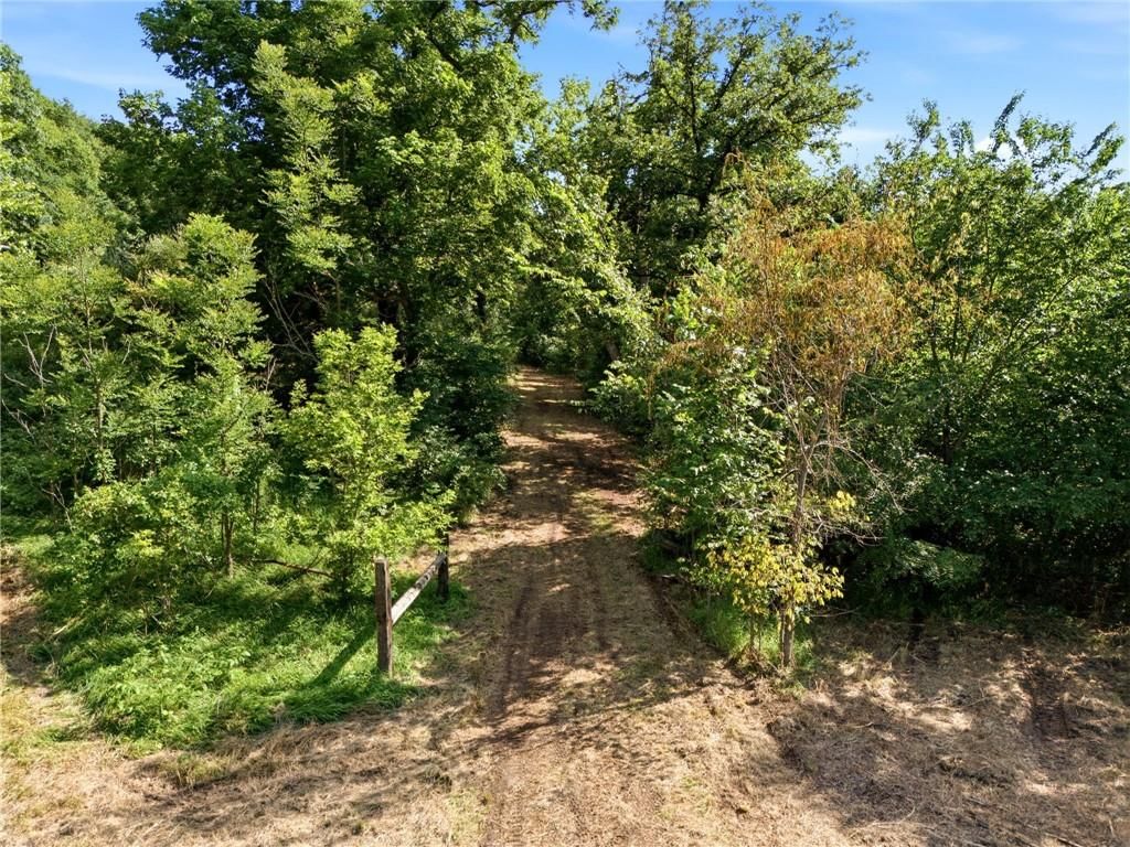 14710 County Rd 337 — photo 11