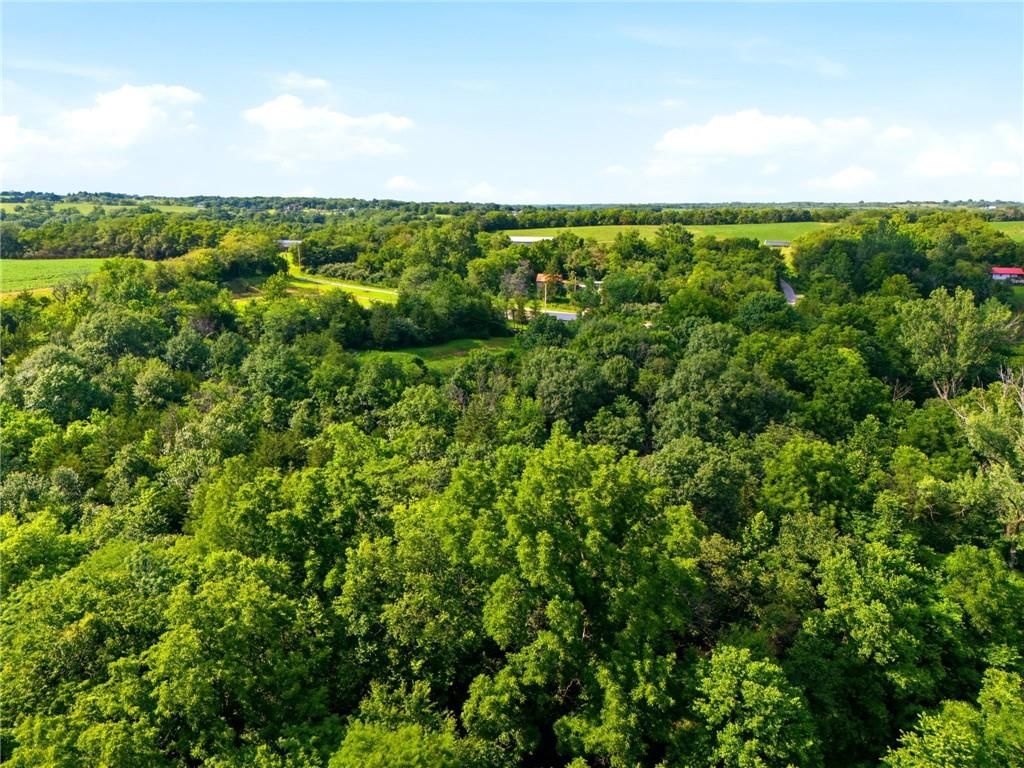 14710 County Rd 337 — photo 15