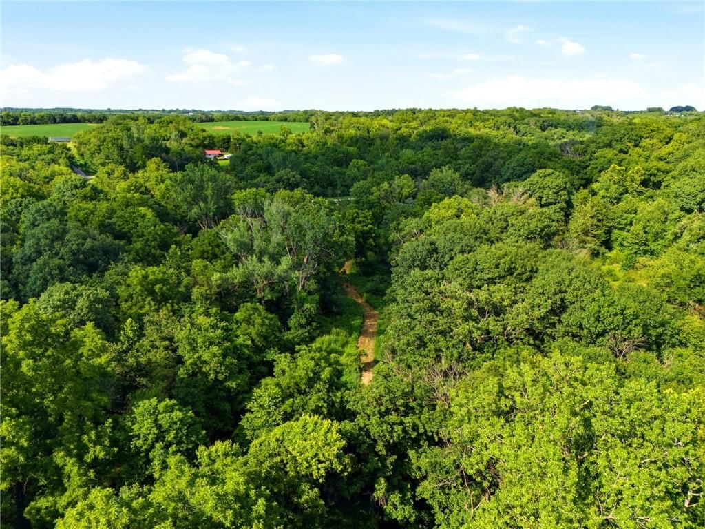 14710 County Rd 337 — photo 16