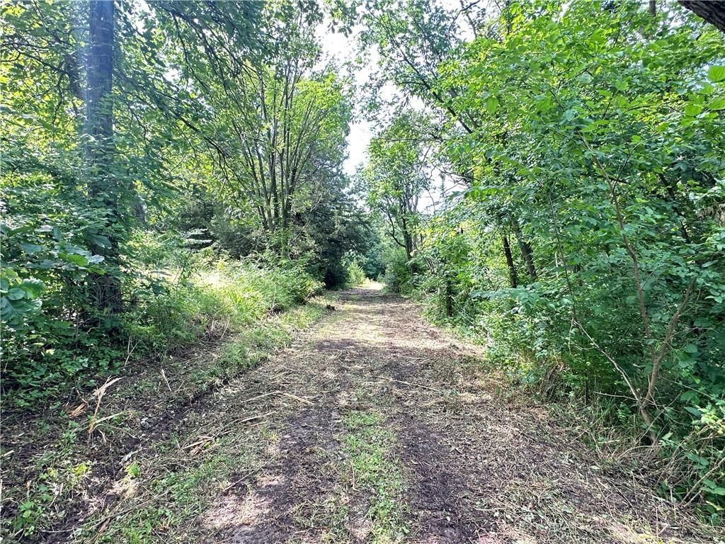 14710 County Rd 337 — photo 26
