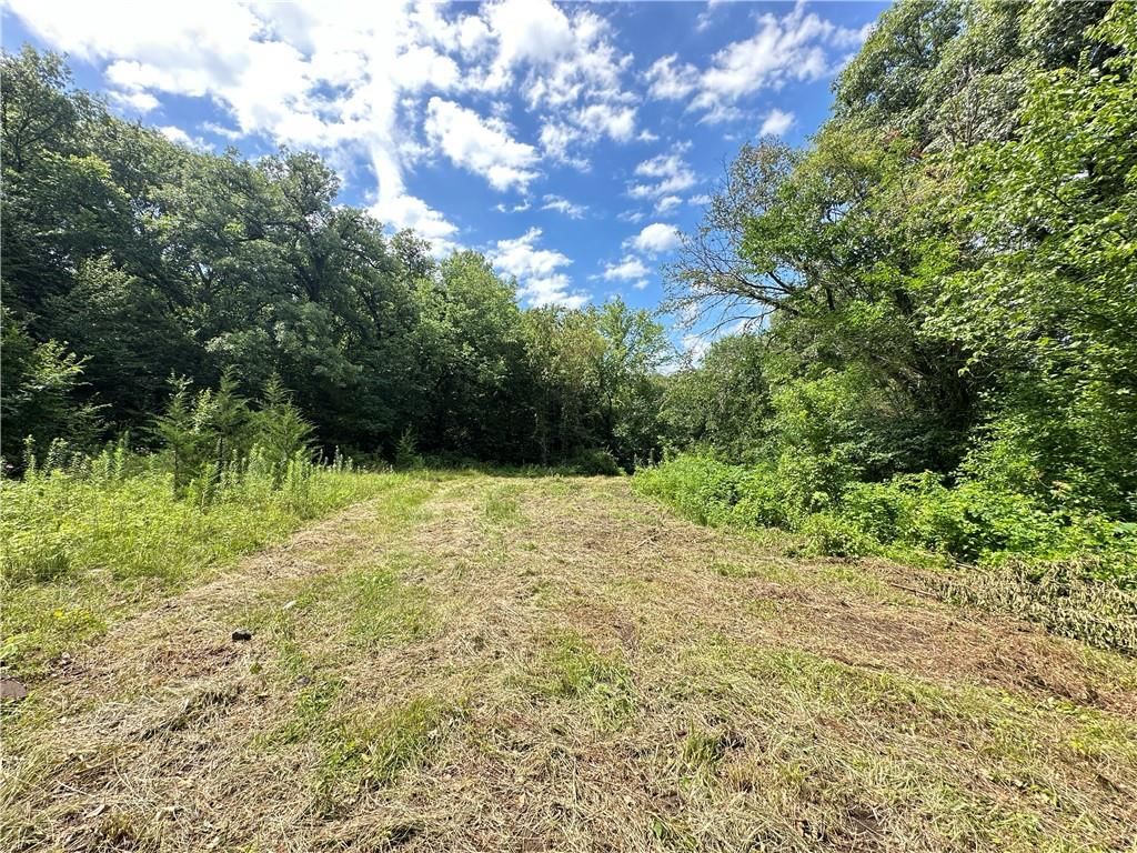 14710 County Rd 337 — photo 28