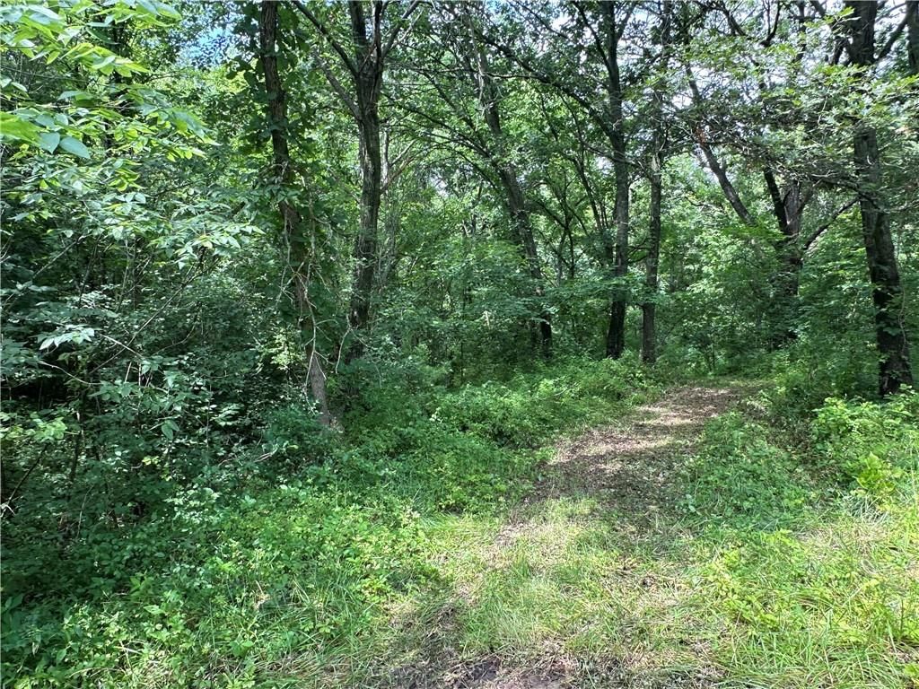 14710 County Rd 337 — photo 31