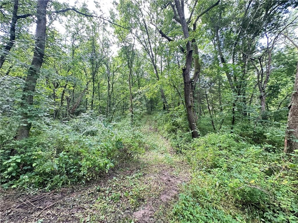 14710 County Rd 337 — photo 32