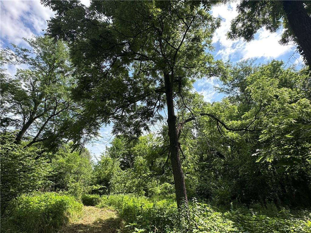 14710 County Rd 337 — photo 34