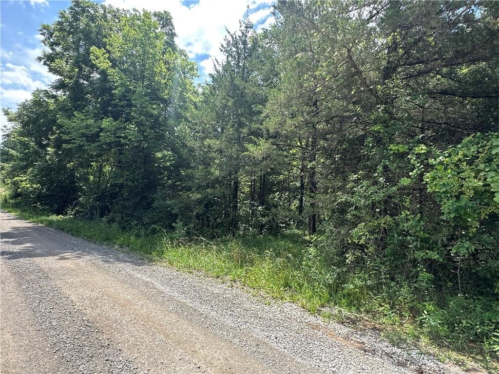 14710 County Rd 337 — photo 39