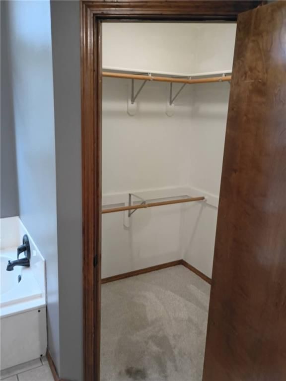 509 Wilson Street — photo 11