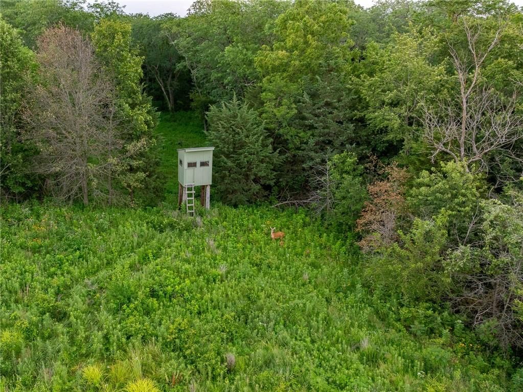 12307 Crescent Road — photo 36