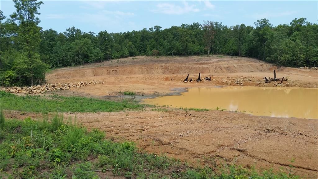Tbd Kolb Hollow Road — photo 10