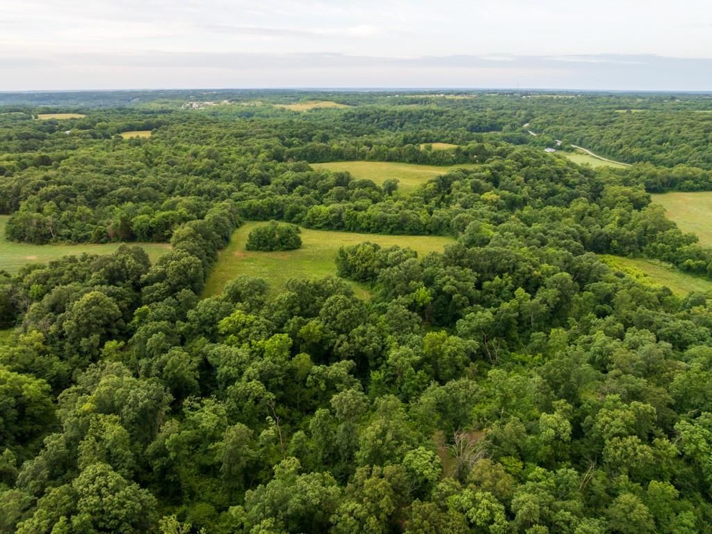 TBD Norris Road — photo 11