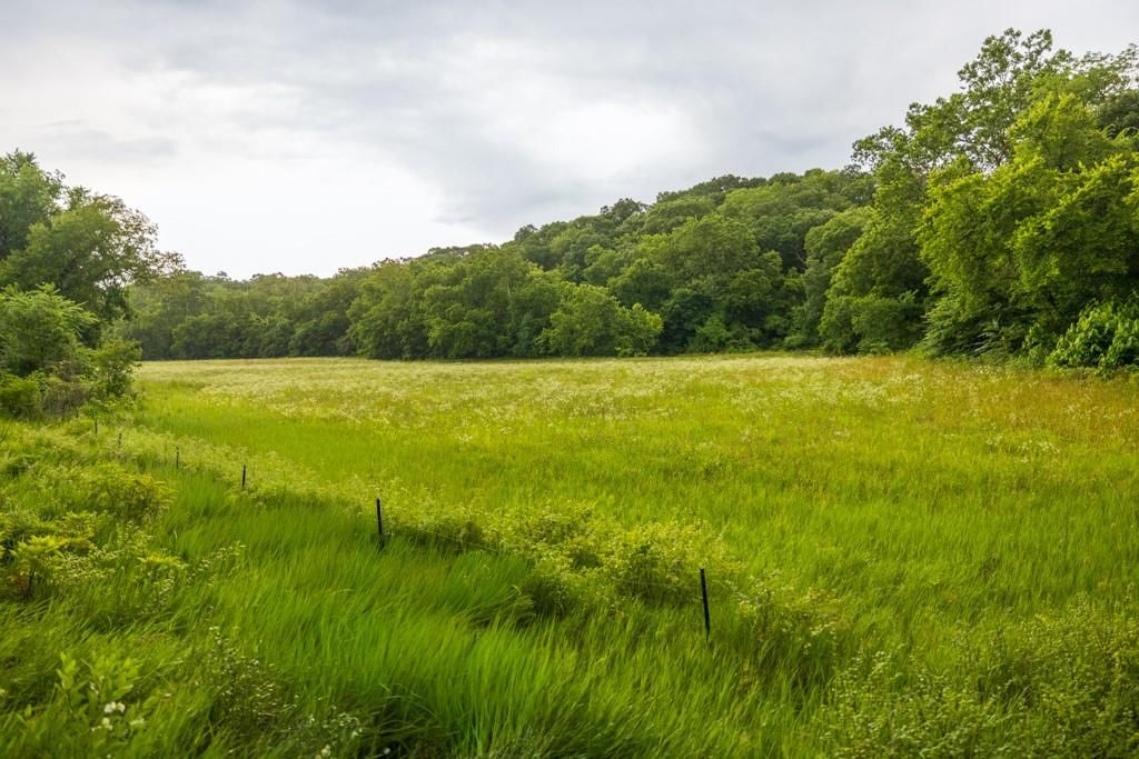TBD Norris Road — photo 16