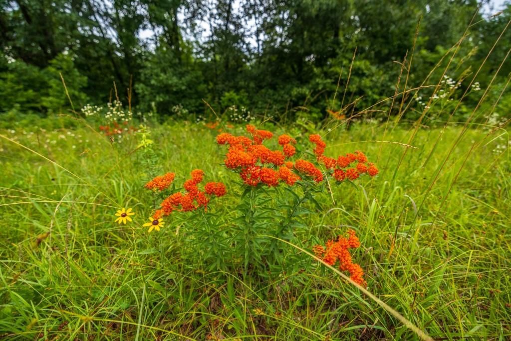 TBD Norris Road — photo 19
