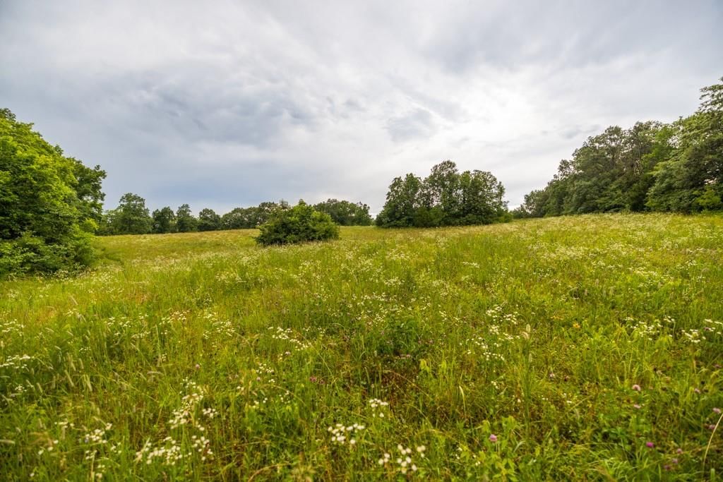 TBD Norris Road — photo 20