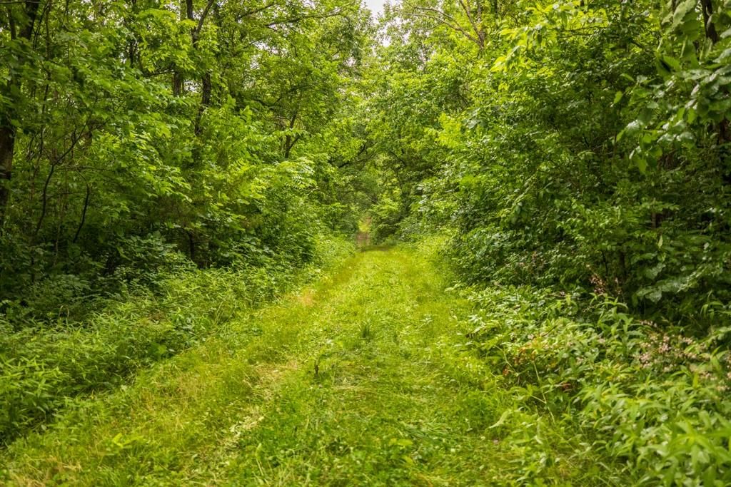 TBD Norris Road — photo 21