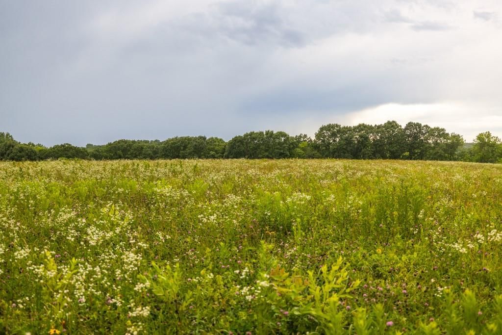 TBD Norris Road — photo 22