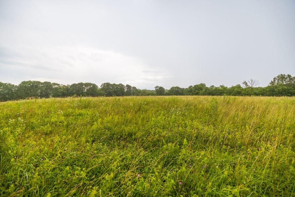 TBD Norris Road — photo 25