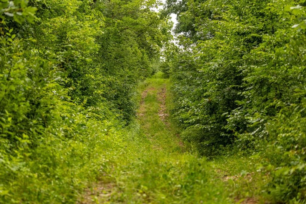 TBD Norris Road — photo 26