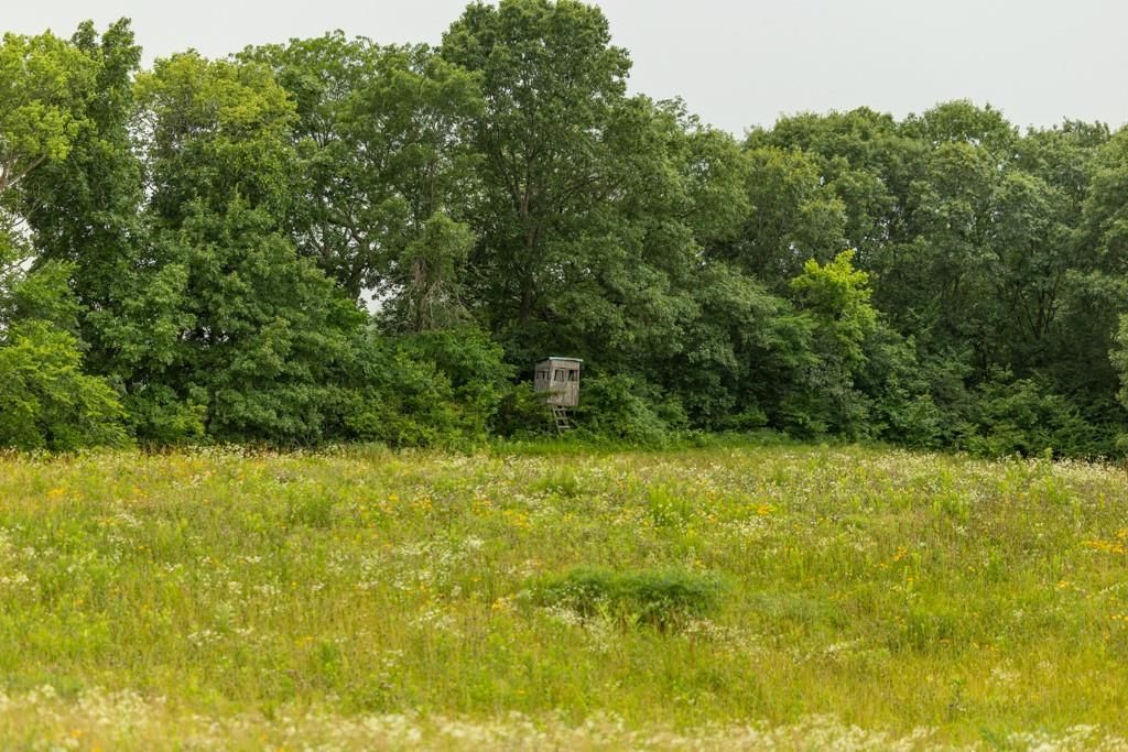 TBD Norris Road — photo 27
