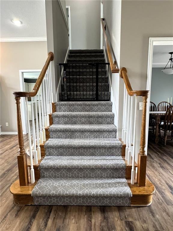 2616 Duncan Circle — photo 14