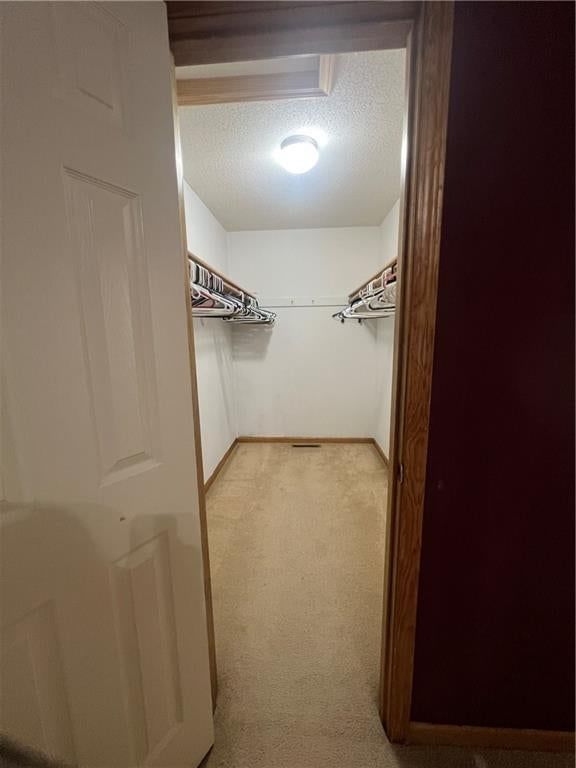102 Carson Circle — photo 12