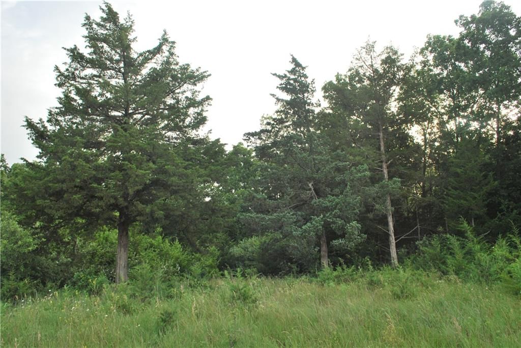 0000 County Road 274 — photo 35