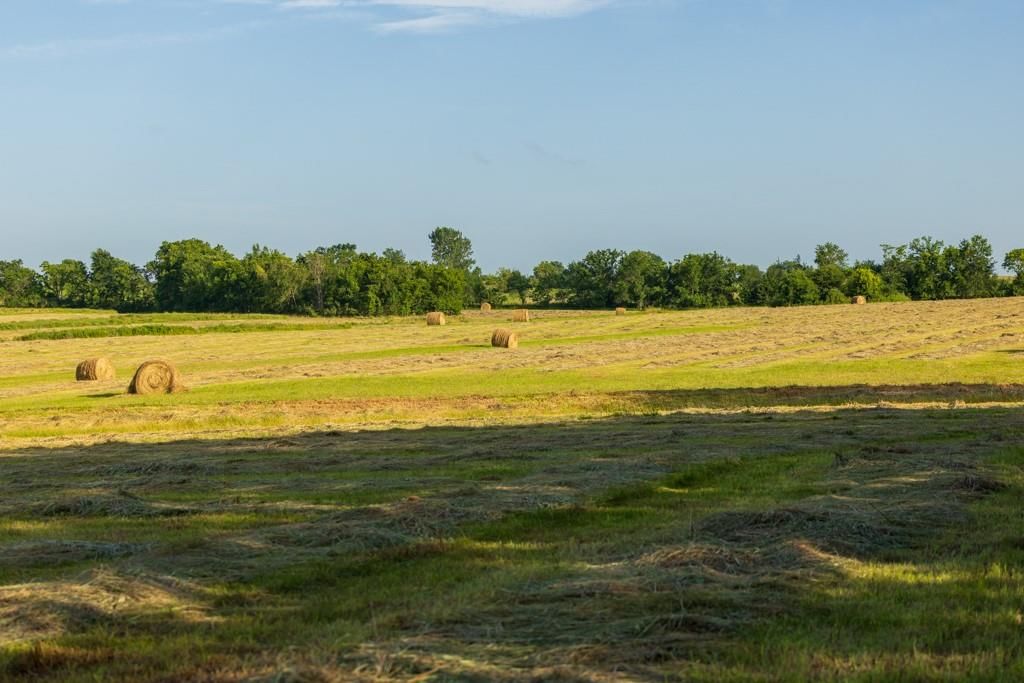 15807 LIV 312 Road — photo 41