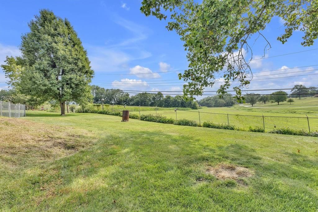 1501 Lion Road — photo 35